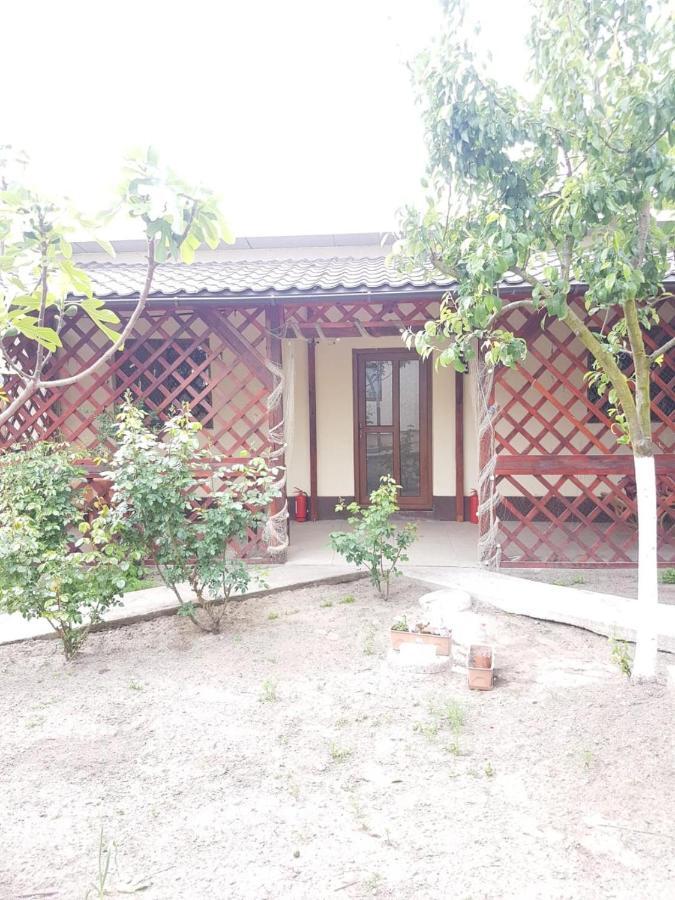Casa Carter Otel Sfântu Gheorghe Dış mekan fotoğraf