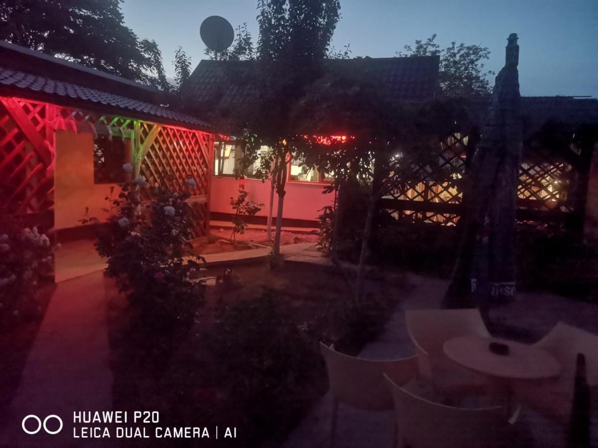 Casa Carter Otel Sfântu Gheorghe Dış mekan fotoğraf